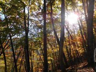 DSCN4392.jpg