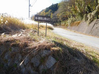 DSCN4428.jpg