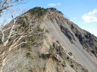 DSCN4554.jpg
