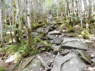 DSCN4874.jpg