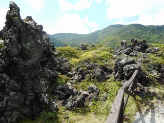 DSCN4933.jpg